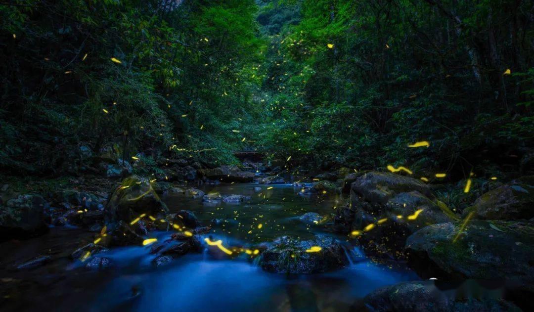 虫虫助手下载